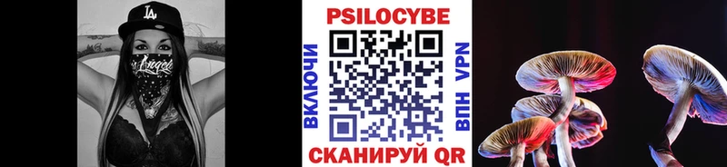 Галлюциногенные грибы Psilocybe  Нестеров 